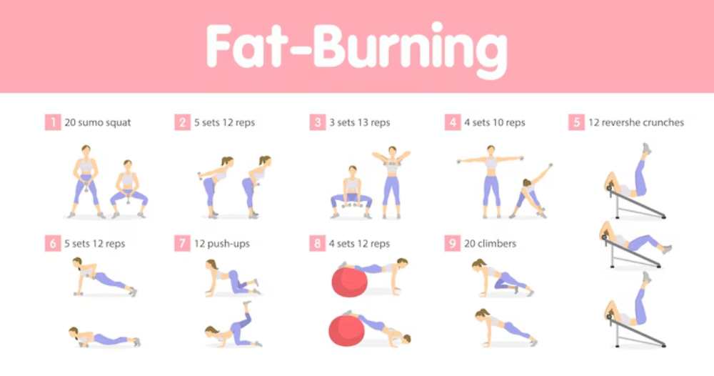 A workout guide featuring illustrations of various fat-burning exercises with rep and set recommendations. Titles include sumo squats and push-ups.